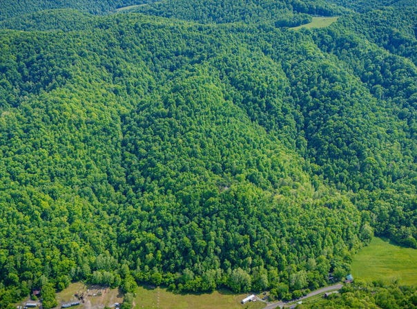 Fairview Road, Duffield, VA 24244