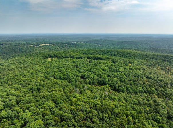 Acorn Rd, Ravenden, AR 72459