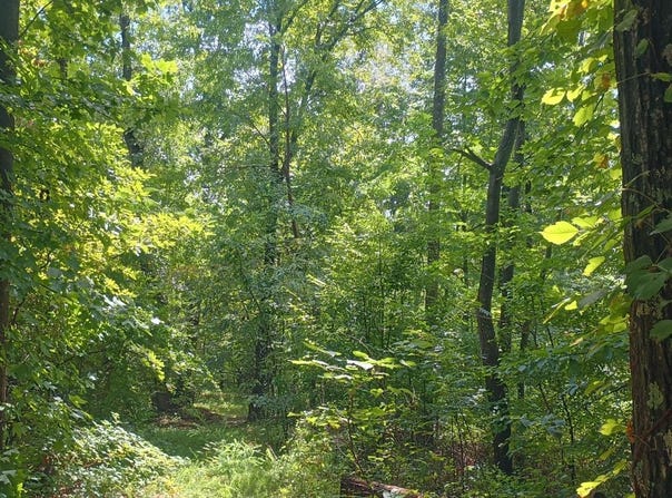 Battery Hill Lane, Tyro, VA 22976