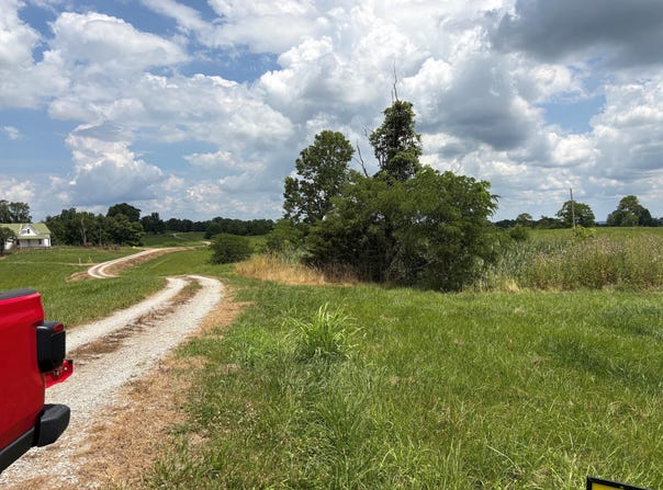 719 Bald Hill Road, Carlisle, KY 40311