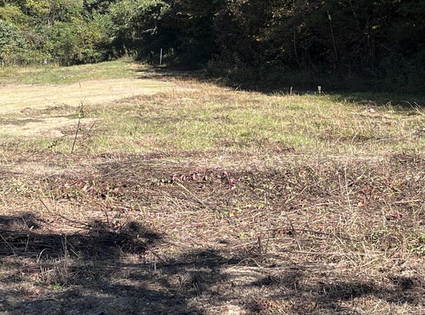 492 Lowder Fork, South Shore, KY 41175