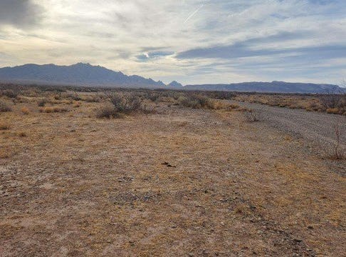 Tamarack Rd SE, Deming, NM 88030-3717