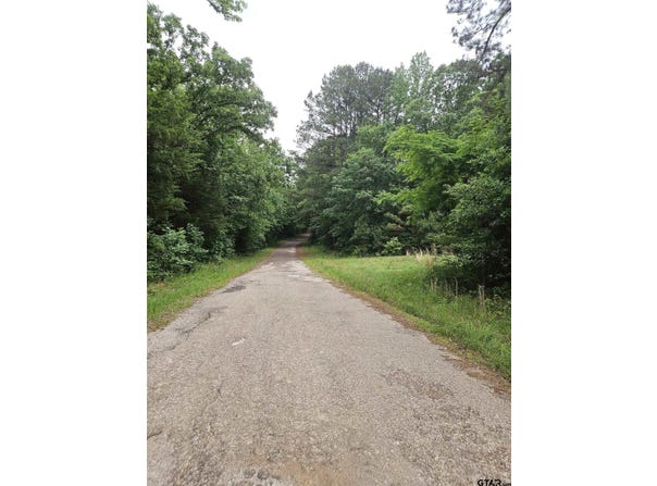 18095 CR 352, Winona, TX 75792