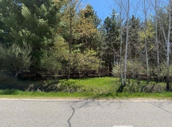 96 Salisbury Drive, Gladwin, MI 48624