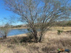 US Highway 181 S, Kenedy, TX 78119