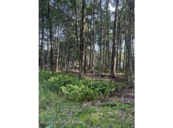 15/16 Sweet Briar Road, Pocono Pines, PA 18350