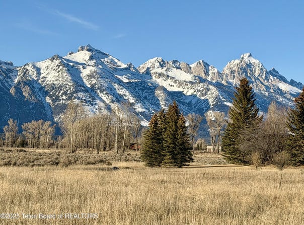 N TIMOTHY Road, Jackson, WY 83001