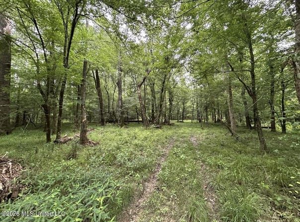 6643 Grange Hall Road, Osyka, MS 39657