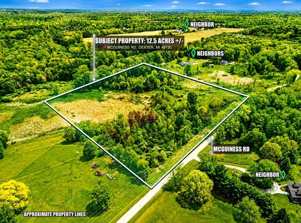McGuiness Road, Dexter, MI 48130