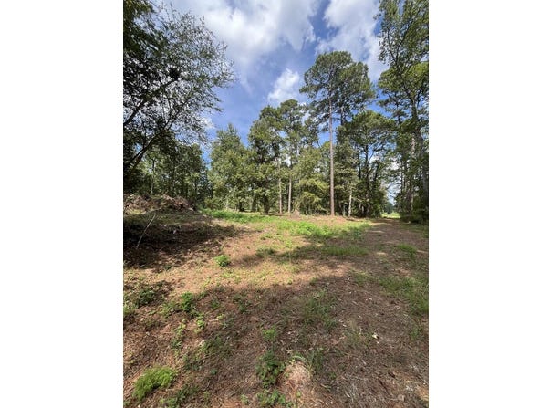 PID #6031801 Lakeland Circle, Pineland, TX 75948