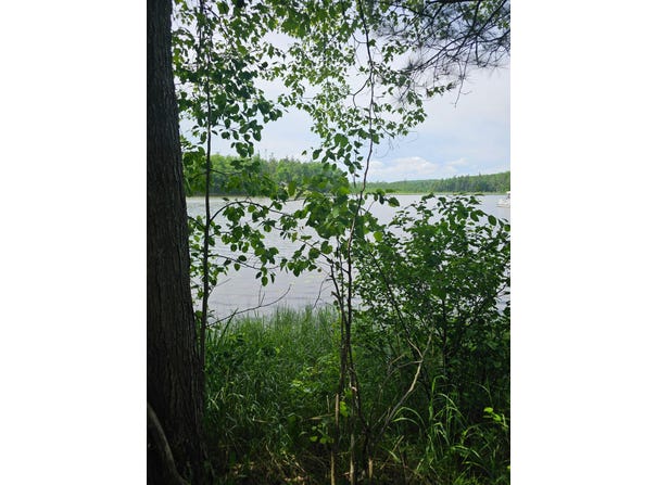 2195 Lake Drive, Mio, MI 48647