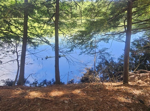 STAEHLING RD lot: 1, Three Lakes, WI 54562