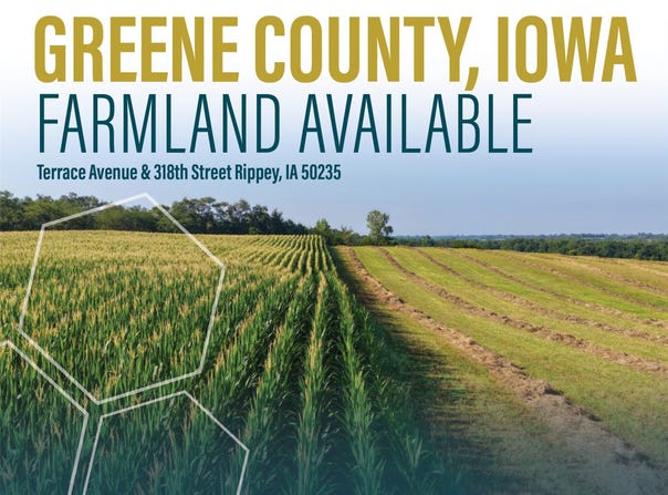 Terrace Avenue, Rippey, IA 50235
