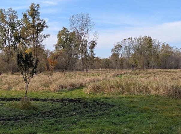4785 W Britton Road, Perry, MI 48872
