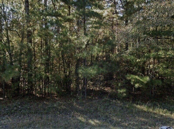 3069 Hamlin Road, Lizella, GA 31052