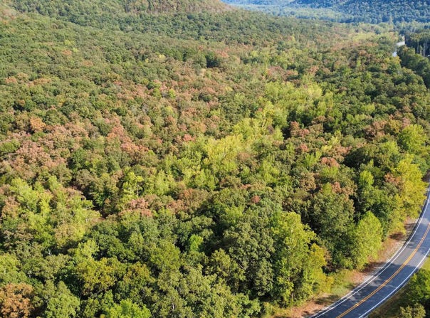 Hwy 9 S, Mountain View, AR 72560