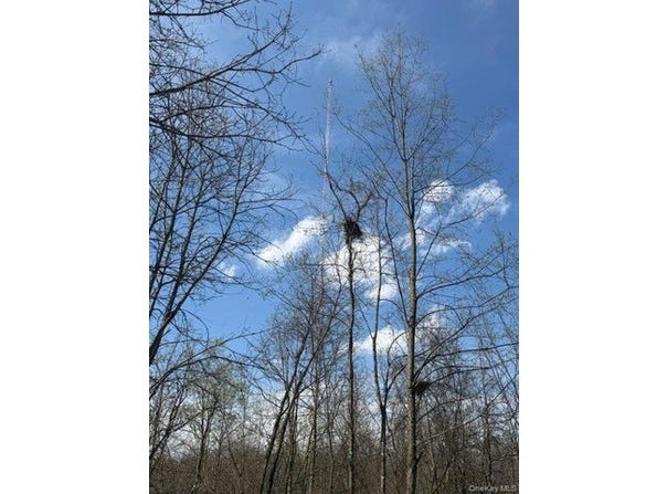509 Route 9G, Hyde Park, NY 12538