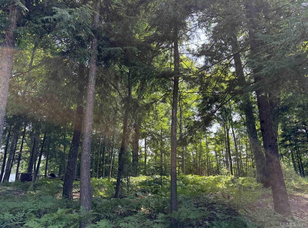 44870 County Hwy D, Cable, WI 54821-1111