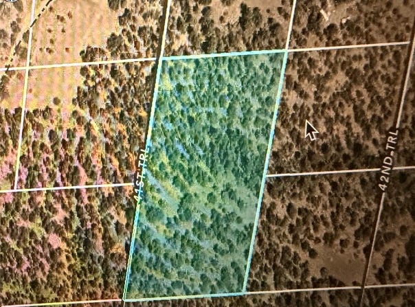41st Trail, Cotopaxi, CO 81223