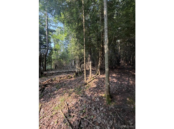 TBD5 Bayshore Road, L'Anse, MI 49946