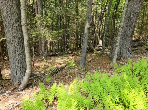 Highland Lake, Eldred, NY 12732