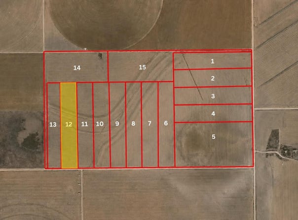 Leopard Road, Ropesville, TX 79358