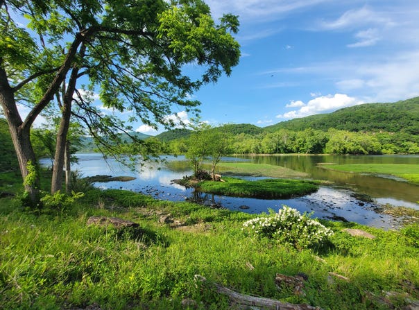 1353 New River Rd, Hinton, WV 25951