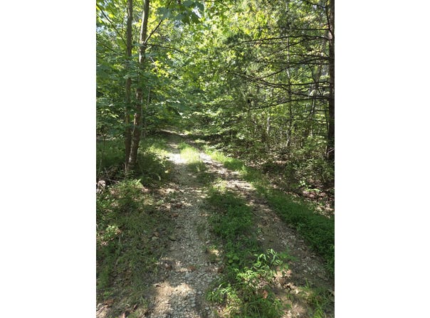 2096 State Highway 1036, Stanton, KY 40380