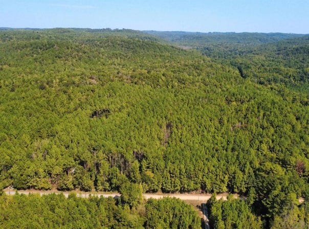 275 PENDLEY CREEK ROAD lot: 0, OAKMAN, AL 35579