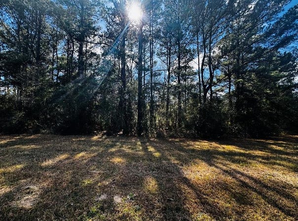 NHN E Lake Cypress, Hancock Co, MS 39573