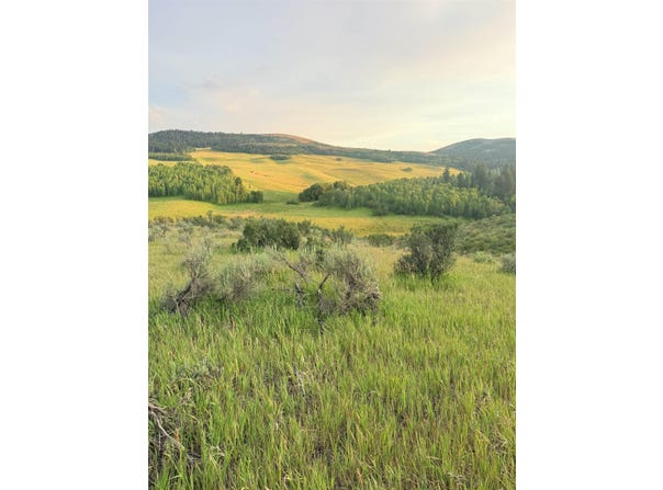 Hoot Owl RD, Inkom, ID 83245