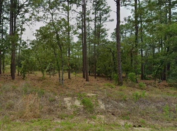 SE 129TH COURT, DUNNELLON, FL 34431