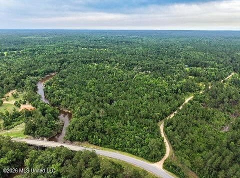 Mcneill Mchenry Road, Poplarville, MS 39470