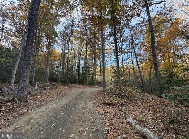 31078 OLD OFFICE RD LOT 1, LOCUST GROVE, VA 22508
