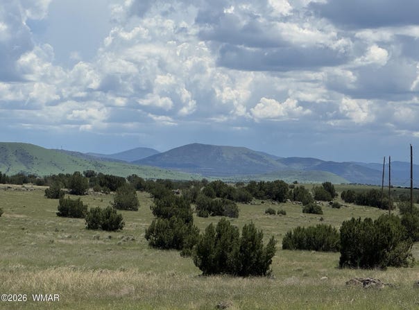 Eucalyptus Lane, Concho Valley, AZ 85924