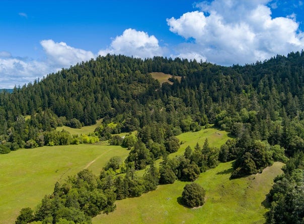 2010 Reed Mountain Road, Benbow, CA 95542