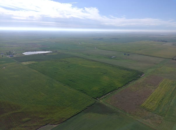 141st St, Ipswich, SD 57451