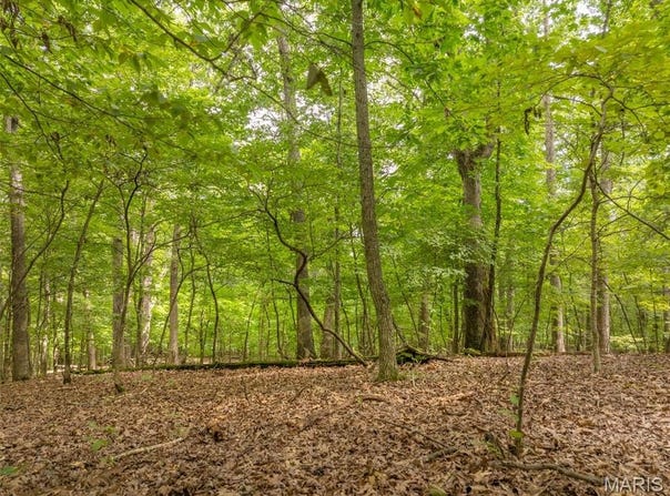 2531 Alpine Trails Drive, Innsbrook, MO 63390