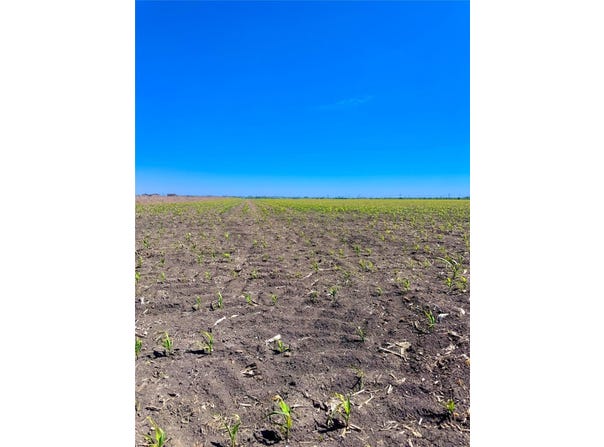 TBD Tract 4 Lund Carlson Rd, Coupland, TX 78615