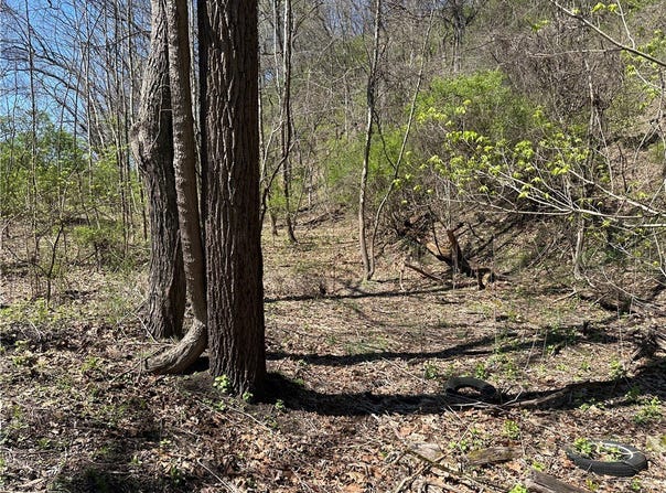 Bower Hill Road, Upper St Clair, PA 15241