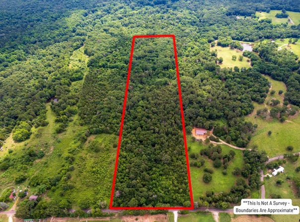 CR 3170, Mt Vernon, TX 75457