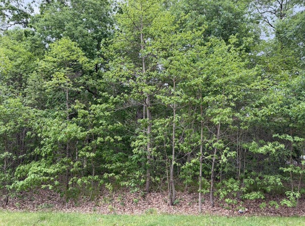 Vacant Lot 565 E, DeMotte, IN 46310