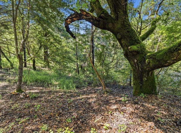 360 Rincon WAY, BOULDER CREEK, CA 95006