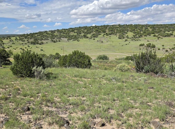 CR 8624, Concho, AZ 85924