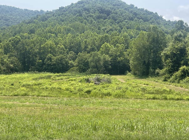 791 Moore Creek Road, Flat Lick, KY 40935