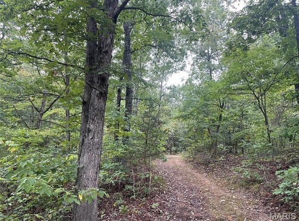 CR 339, Piedmont, MO 63957