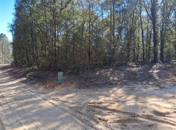 Williamson Road, Chunchula, AL 36521