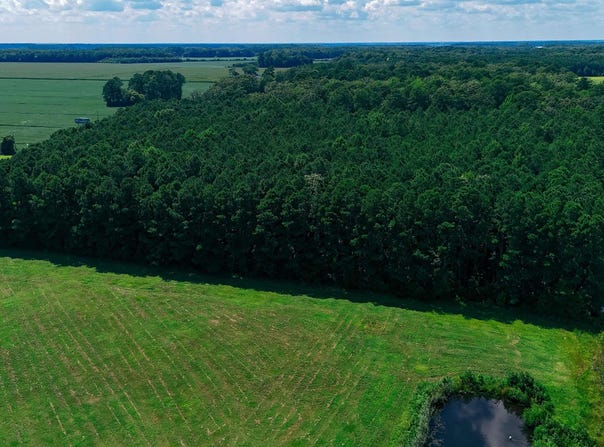 Caratoke Highway, Moyock, NC 27958