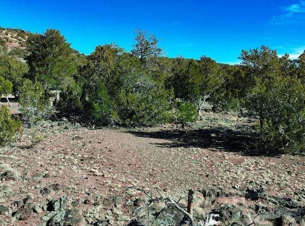 766 E Hualpai Trail, Williams, AZ 86046