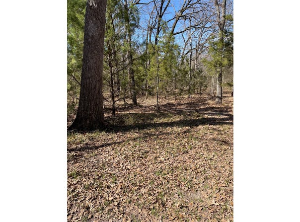 Double Bridge Road, Mabank, TX 75156